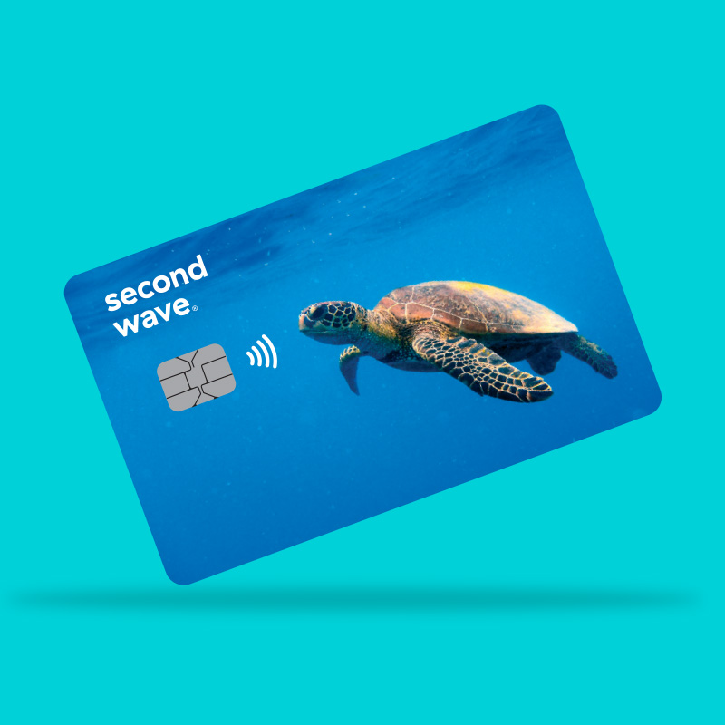 CPI Second Wave Card